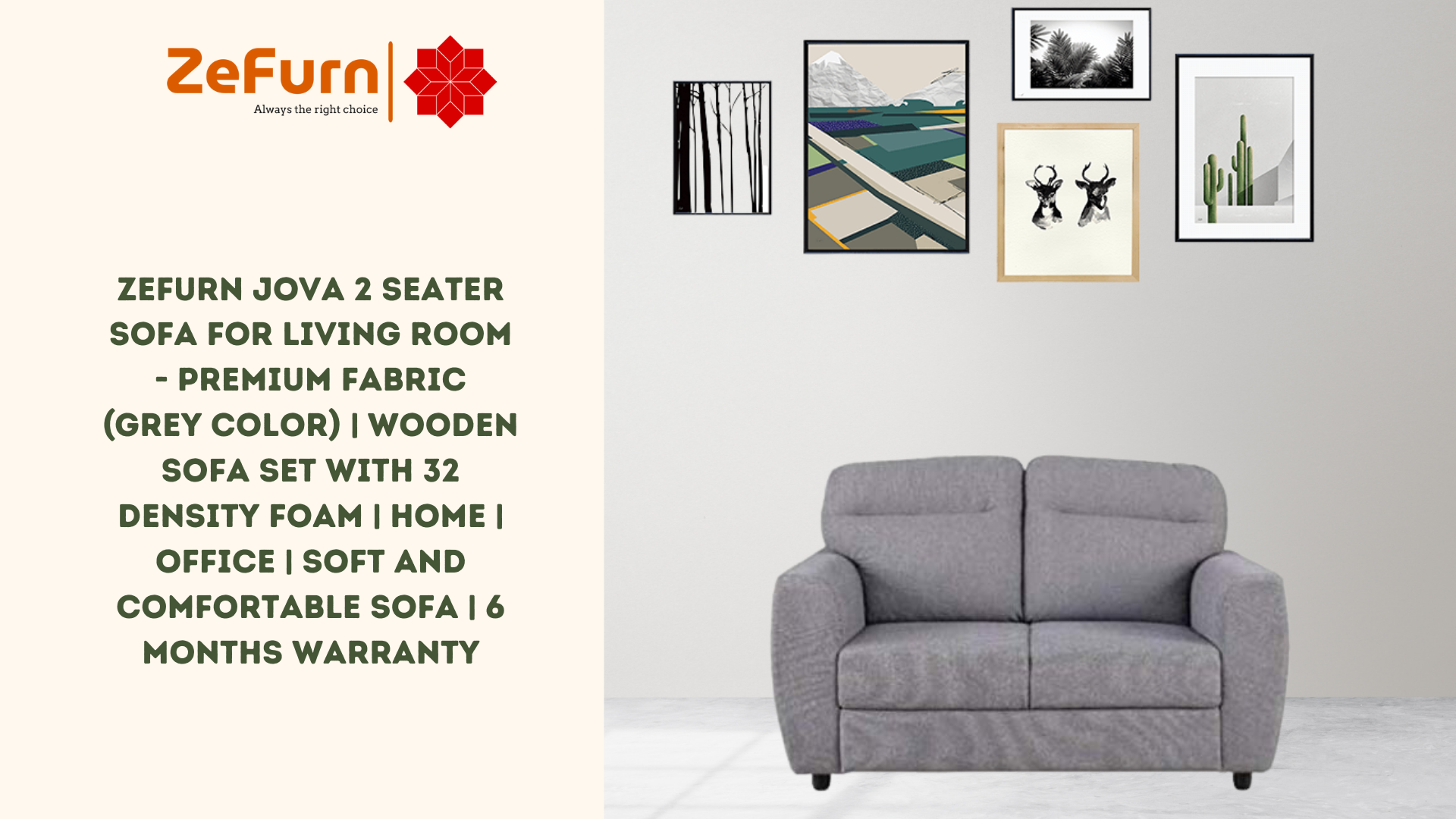 ZeFurn Jova 2 Seater Sofa for Living Room - Premium Fabric (Grey